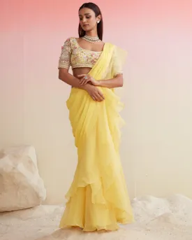 Bashnin Sari Set