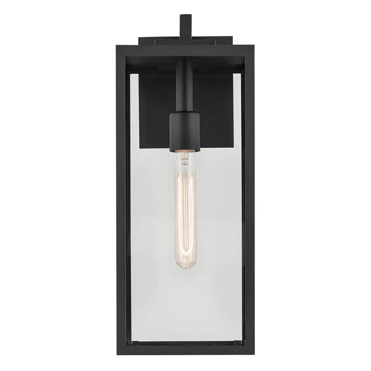 Branner 18 In 1-Light Outdoor Wall Light with Clear Glass, Black Finish