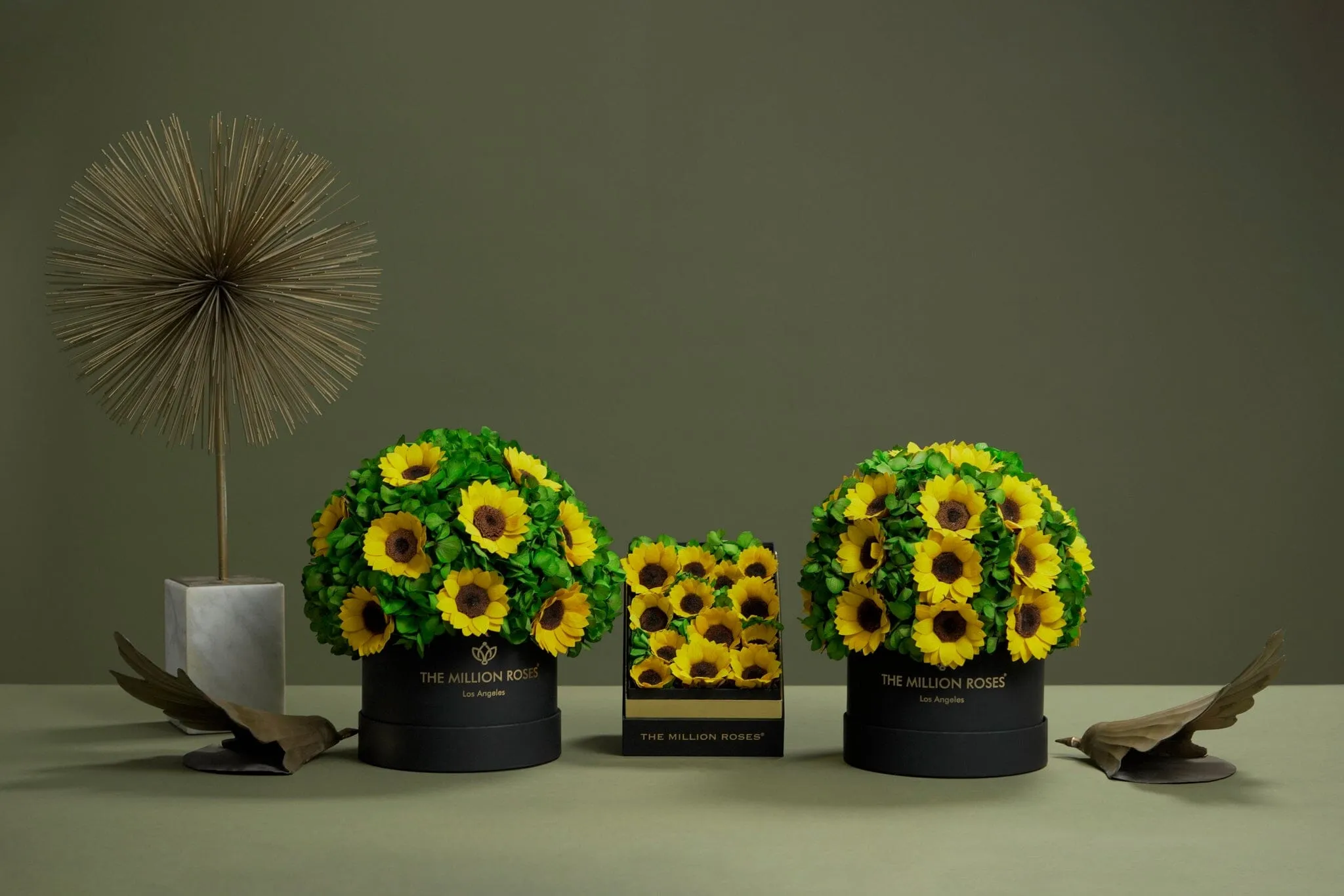 Classic White Box | Green Hydrangeas & Sunflowers