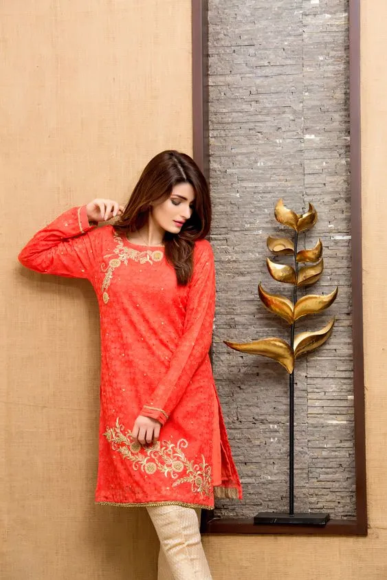 Ethnic Kurti | EC17 | K816