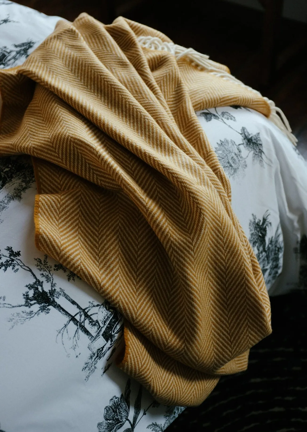 Foxford Innisfree Cashmere and Lambswool Throw