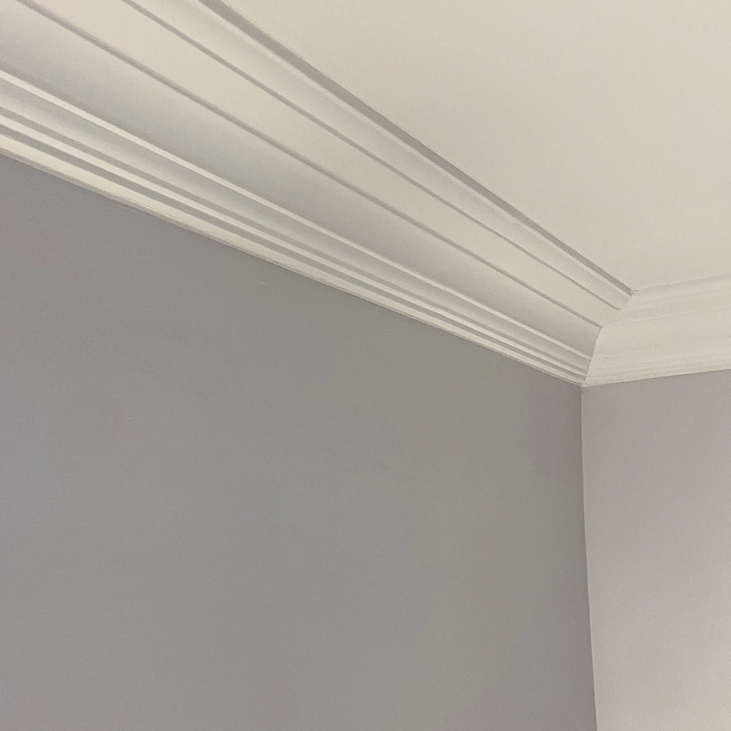 Plaster Coving 95mm Drop MPC025