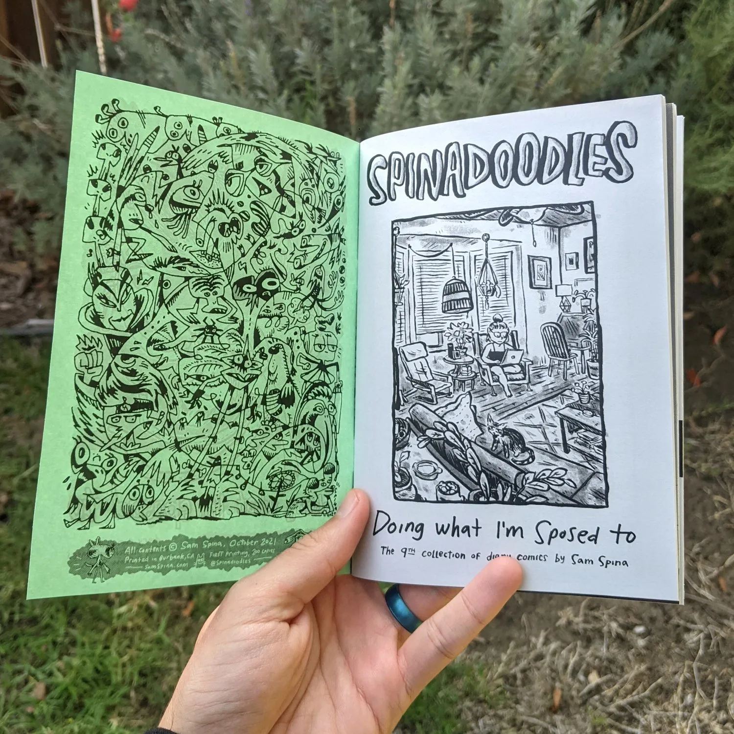 Spinadoodles 9: Doing What I'm Sposed To